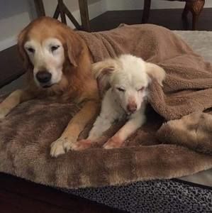 Meet your Posher, Mariane